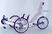 Trike 2001